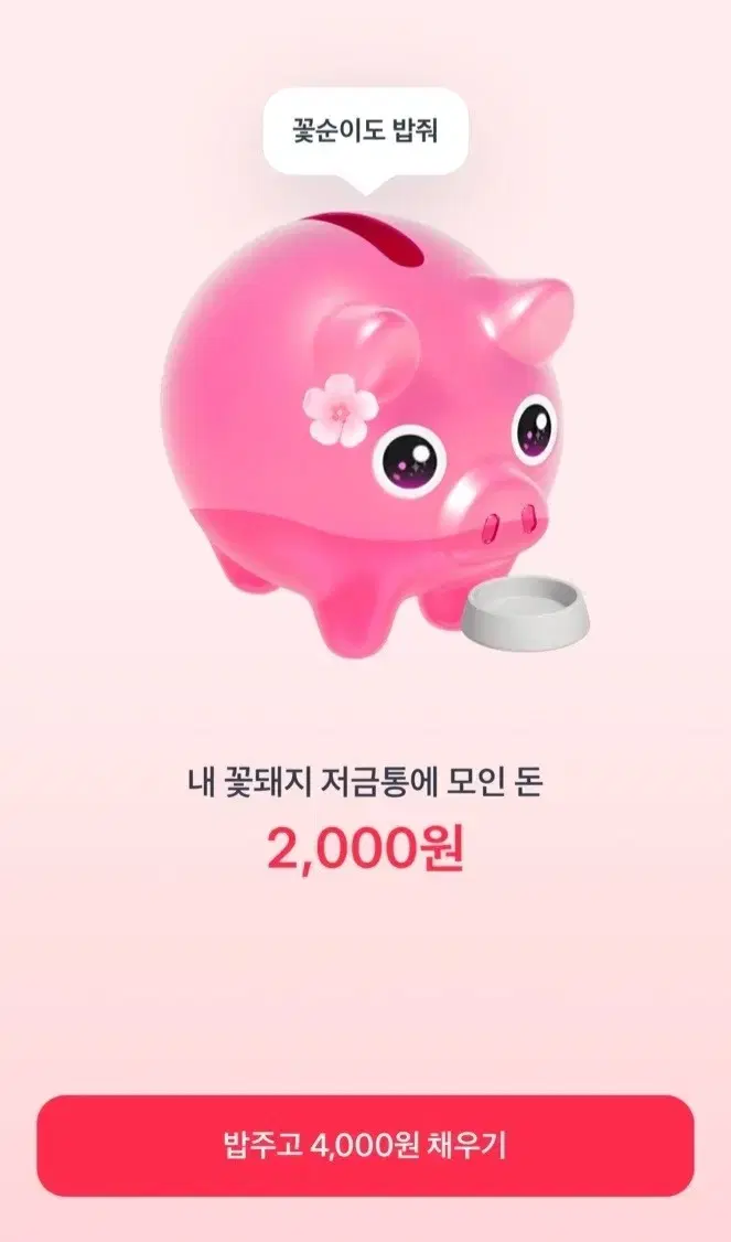 꽃돼지 20배로 드려요